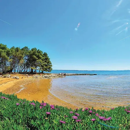 In With Wifi Prázdninový dům Vir